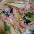 Cooksnap Julia ALeen Aireish semasa beliau membuat Kuah Laksa.