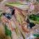 Cooksnap Julia ALeen Aireish semasa beliau membuat Kuah Laksa.