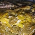 صورة من Gulgul Ali🌺Gulan، شاركها بعد تجربة وصفة ازكى اكلة دوالي ❤😋