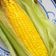 Cooksnap dari Ratih Jati untuk resep Jagung Rebus dengan Microwave 🌽