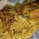 Cooksnap dari Mama Izzan untuk resep Nasi briyani ayam lezaatt dg magic com