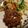 J-Bone's cooksnap of when they made Even Easier Salisbury Steak.