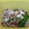 Cooksnap dari Swasty untuk resep Kerang Dara Rebus