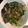 白 的 羊肉燴飯 cooksnap