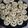 El cooksnap de Lucia Dos Santos cuando hizo Galletas con chips de chocolate.