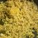 Cooksnap dari Laila Kustina untuk resep Nasi Kuning Magic Com