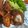 Cooksnap DiYos Nie semasa beliau membuat Ayam Goreng Berempah (Nasi Kandar).