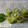 Cooksnap dari Lailazegaff untuk resep Puding Roti Tawar Pandan