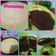 Cooksnap dari Mahmudah Hilali untuk resep Martabak Manis Terang Bulan Teflon Tanpa Mixer