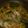 Cooksnap dari mayasasha untuk resep Sop Bening Ayam - Soto Seger Boyolali