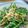 Cooksnap dari Bunda Ela ✅ untuk resep Oseng Kangkung