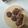 Cooksnap dari Wina Kartika untuk resep Semprit Coklat Santan (1 resep bs untuk semua rasa ( vanila,pandan dll) cookies