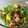 Junquo M Hill's cooksnap of when they made Hot mango salad.