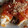 El cooksnap de Vero Robinson cuando hizo Canelones de acelga y carne picada.