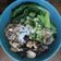 Cooksnap dari Rara untuk resep Yamie Ayam