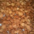 Cooksnap dari Luluk Fauziah untuk resep Biji Ketapang simple,Renyah,Gurih,Enak