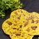 Vaishali Prajapati 's cooksnap of when they made કોથમીર ફુદીના ના થેપલા (Kothmir Pudina Thepla Recipe In Gujarati).