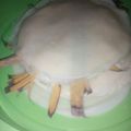 Cooksnap dari Ummu usaid (cemilan homemade) untuk resep Kulit Lumpia