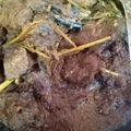Cooksnap dari Vivi Oktavia untuk resep Rendang Daging Sapi Masakan Rumahan (Padang Asli)