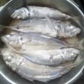 Cooksnap από maniaboli στη συνταγή Ψάρια σαβόρο διαίτης και γρήγορα