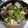賴小孟 的 蘆筍炒蛤蜊 cooksnap