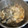 El cooksnap de Maria Jose Lopez Cruz cuando hizo Conejo al ajillo.