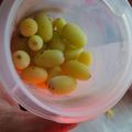 Cooksnap από Ναυσικά στη συνταγή Σταφύλια στην κατάψυξη