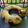 Cooksnap dari firnanda estra adilla untuk resep Marble Butter Cake