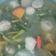 Cooksnap dari Merry Puspita Devi untuk resep Sayur Kacang Panjang Bening