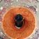 El cooksnap de Jose Luis cuando hizo Muhammara (crema siria de pimientos y nueces). Versión súper fácil.
