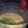 Shagufta Sheikh's cooksnap of when they made Strawberry and Kiwi Shake.