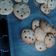 El cooksnap de prichuu avery cuando hizo Galletas de Chocolate Cookies.