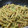 El cooksnap de Melissa D. cuando hizo Pasta en salsa pesto.