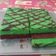 Cooksnap dari Catur Mayda untuk resep Bolu kukus santan aroma pandan-cokelat