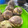 El cooksnap de Pau cuando hizo Muffins de vainilla.