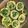 Ellen Chen 的 苦瓜封 cooksnap