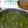  Hina Naimish Parmar's cooksnap of when they made પાલક પનીર (Palak Paneer Recipe In Gujarati).