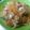 Cooksnap dari Oktinarsih Oktinarsih untuk resep Bihun Jagung Goreng with Baso dan Sayur