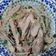 陳伽瑜 的 醬燒雞丁佐黃豆芽 cooksnap