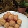 Cooksnap dari Frida Fauziyah untuk resep Bola-bola keju debm