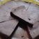 El cooksnap de Naty_coremi cuando hizo Tarta de chocolate apta para diabéticos y sin harina.