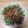El cooksnap de basiliolmo cuando hizo Ensalada templada de champiñones y pollo asado.