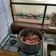El cooksnap de Patricia Fernandez Moreno cuando hizo Carne a la cacerola.