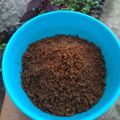 Cooksnap dari Farida Fayik Nur untuk resep Terasi Udang Homemade