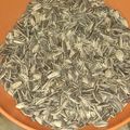 El cooksnap de Vilma judith cuando hizo "Pipas" caseras (semillas de girasol saladas).