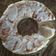 Cooksnap dari sitijuwairiyah untuk resep Puding Roti