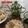 Cooksnap dari Pratiwi Pramuharsih untuk resep Kue Abuk