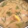 Cooksnap dari Ranny Chairany untuk resep Sayur Asem Sunda