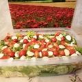 Marcsi Mné Molnár Cooksnap-ja, amikor elkészítette a(z) Itália-Mozarrellas (kelbimbo alma uborka lilahagyma narancslê receptet.