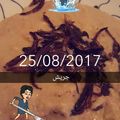 صورة من momy، شاركها بعد تجربة وصفة طريقة الجريش بالشوفان 💕